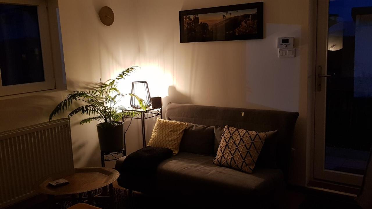 Gite See You Soon - Maisonnette Green Lodge ريبوفيل المظهر الخارجي الصورة