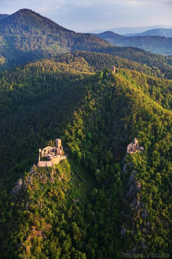 Gite See You Soon - Maisonnette Green Lodge ريبوفيل المظهر الخارجي الصورة